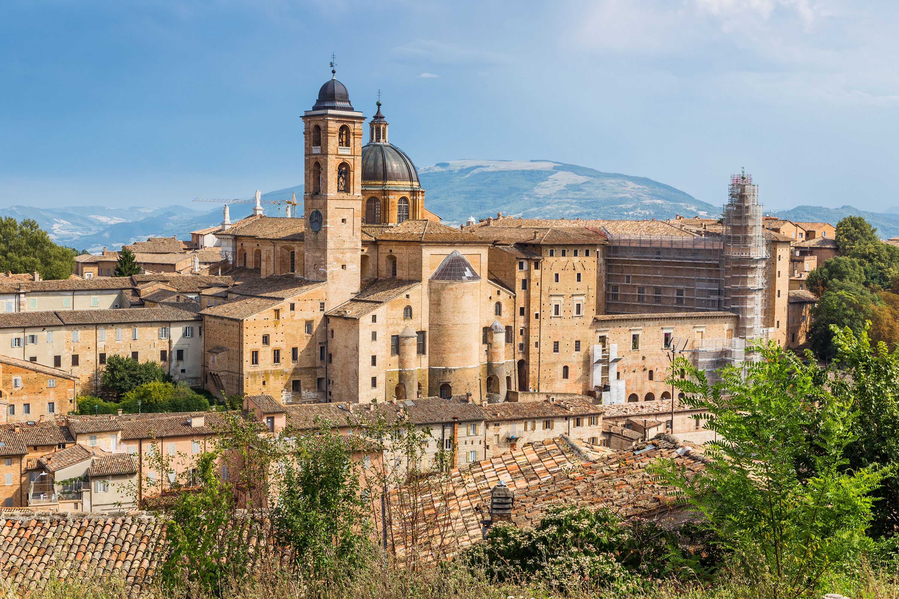 Urbino